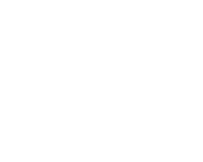SHIN GROUP